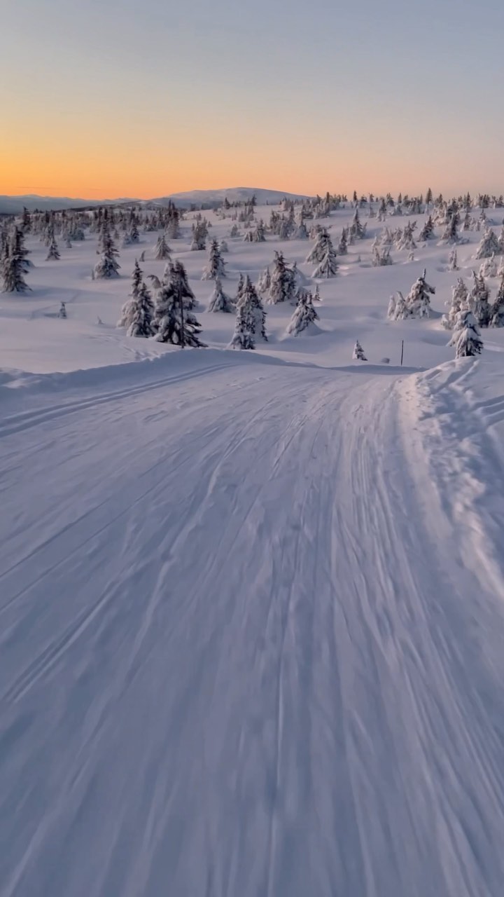 Salomon Nordic — skiløype i solnedgang